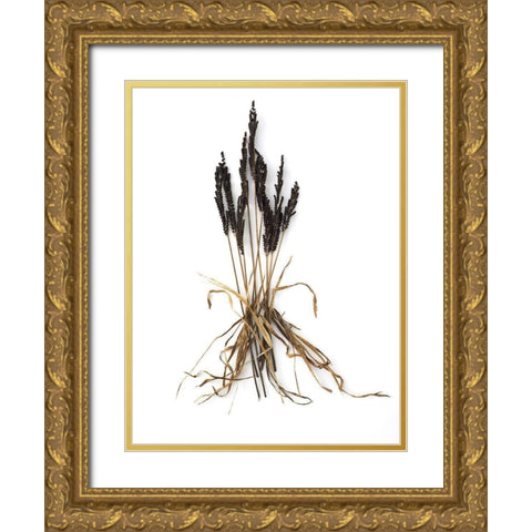 Fern And Grass Gold Ornate Wood Framed Art Print with Double Matting by Rosenthal, Barry