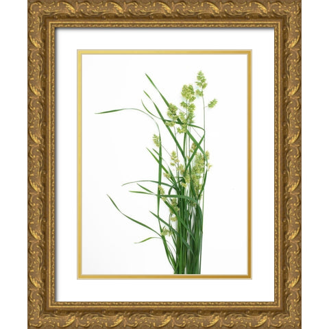 Grass Effort PA Gold Ornate Wood Framed Art Print with Double Matting by Rosenthal, Barry