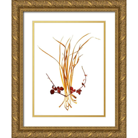 Straw And Rasberry Gold Ornate Wood Framed Art Print with Double Matting by Rosenthal, Barry