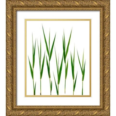 Grass Hillsdale Gold Ornate Wood Framed Art Print with Double Matting by Rosenthal, Barry