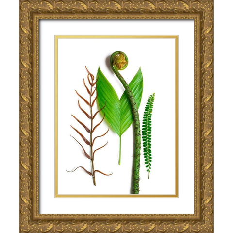 Ferns And Palms Gold Ornate Wood Framed Art Print with Double Matting by Rosenthal, Barry