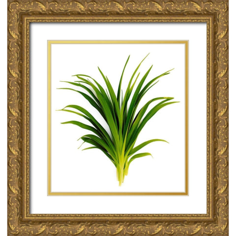 Sedge Bedford Gold Ornate Wood Framed Art Print with Double Matting by Rosenthal, Barry