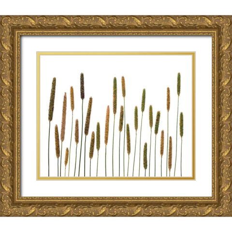 Timothy Gold Ornate Wood Framed Art Print with Double Matting by Rosenthal, Barry