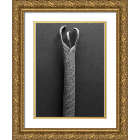 Mountain Leaves 2 Gold Ornate Wood Framed Art Print with Double Matting by Rosenthal, Barry