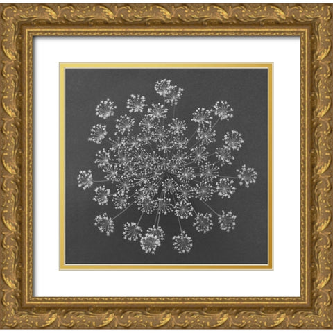 Dill Top View Gold Ornate Wood Framed Art Print with Double Matting by Rosenthal, Barry