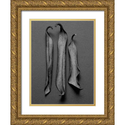 Mountain Leaves 1 Gold Ornate Wood Framed Art Print with Double Matting by Rosenthal, Barry