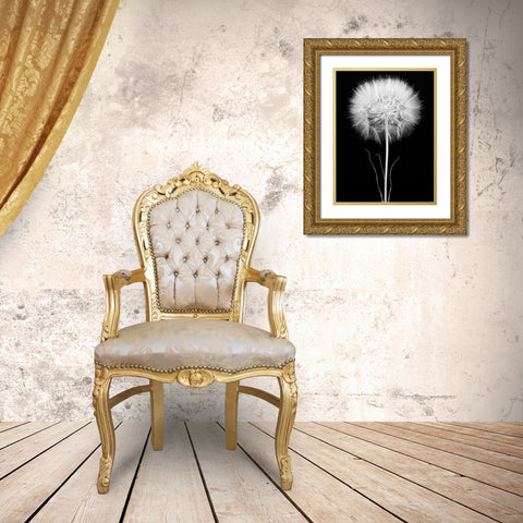 Salsify Gold Ornate Wood Framed Art Print with Double Matting by Rosenthal, Barry