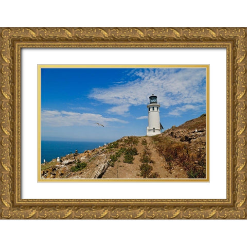 Anacapa Lighthouse Gold Ornate Wood Framed Art Print with Double Matting by Vizvary, Susan