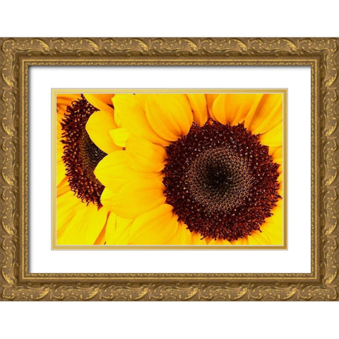 RT 66 Towing Gold Ornate Wood Framed Art Print with Double Matting by Vizvary, Susan