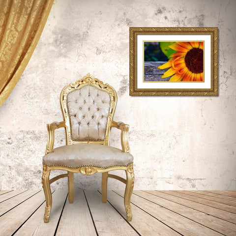 Sunflower Gold Ornate Wood Framed Art Print with Double Matting by Vizvary, Susan