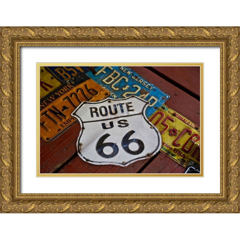 License Paltes Gold Ornate Wood Framed Art Print with Double Matting by Vizvary, Susan