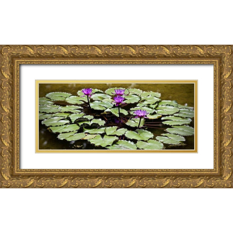 Purple Lily Pond Gold Ornate Wood Framed Art Print with Double Matting by Vizvary, Susan