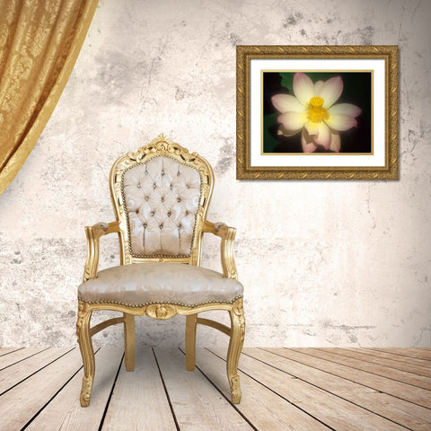 Lotus Flower Gold Ornate Wood Framed Art Print with Double Matting by Vizvary, Susan