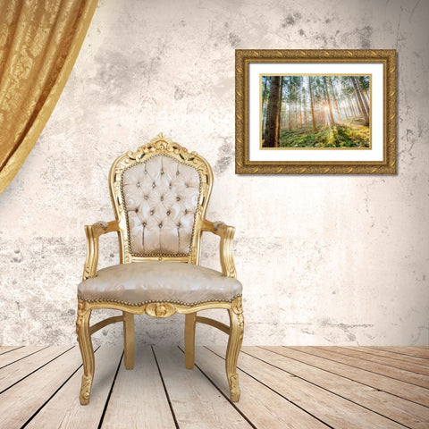 Sunflare 1 Gold Ornate Wood Framed Art Print with Double Matting by Henk van Gog