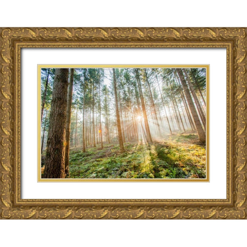Sunflare 1 Gold Ornate Wood Framed Art Print with Double Matting by Henk van Gog