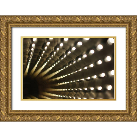 Lights III Gold Ornate Wood Framed Art Print with Double Matting by Carlier, Dick
