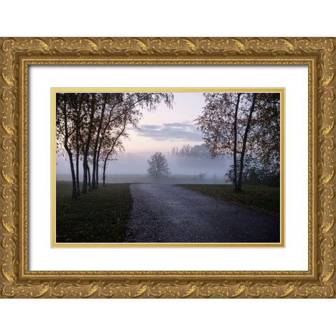 Foggy Morning II Gold Ornate Wood Framed Art Print with Double Matting by Carlier, Dick
