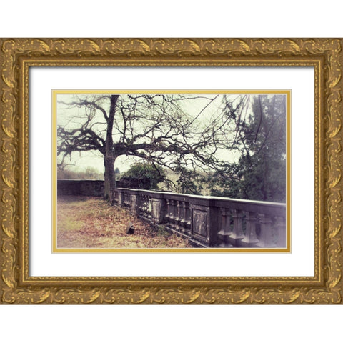 Lonely Tree Gold Ornate Wood Framed Art Print with Double Matting by Carlier, Dick