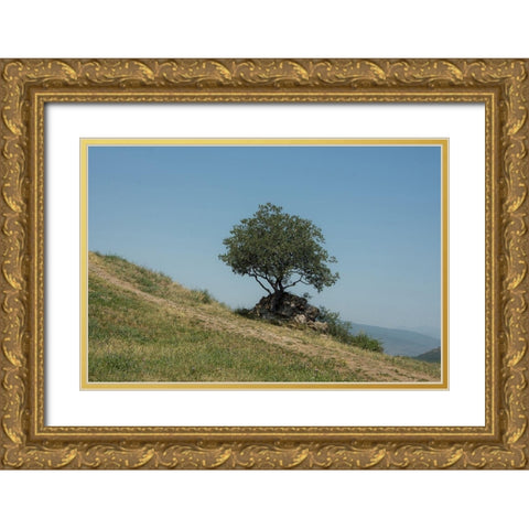 Tree On Hill Gold Ornate Wood Framed Art Print with Double Matting by Carlier, Dick