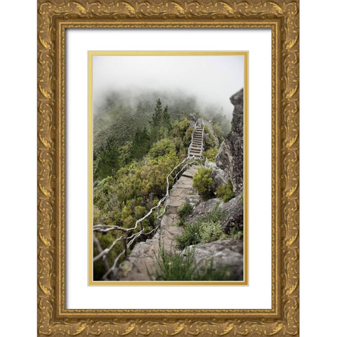 Bridge To The Clouds Gold Ornate Wood Framed Art Print with Double Matting by Carlier, Dick