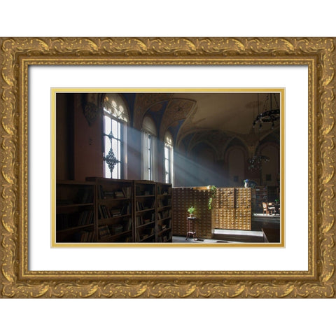 Library Gold Ornate Wood Framed Art Print with Double Matting by Carlier, Dick