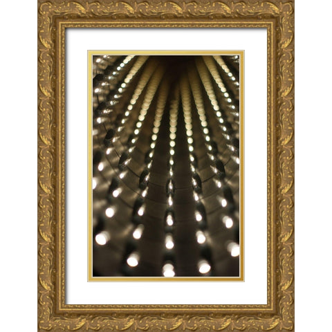 Lights IV Gold Ornate Wood Framed Art Print with Double Matting by Carlier, Dick