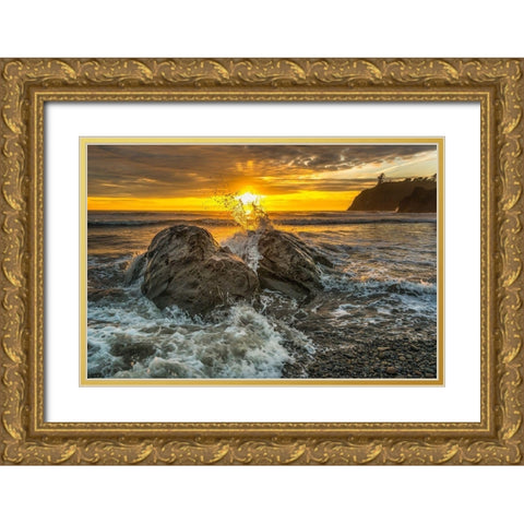 Splash I Gold Ornate Wood Framed Art Print with Double Matting by Kostka, Vladimir