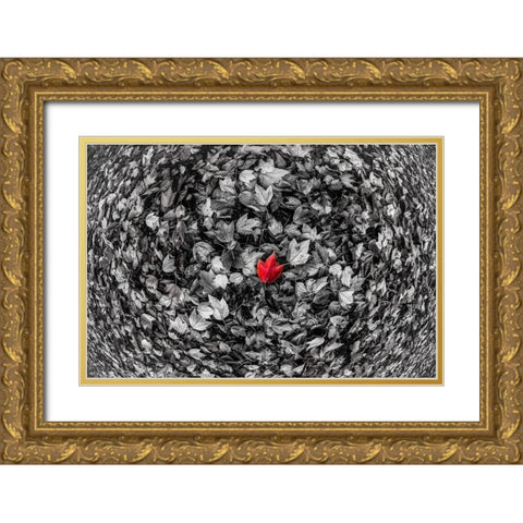 Red Leaf Gold Ornate Wood Framed Art Print with Double Matting by Kostka, Vladimir