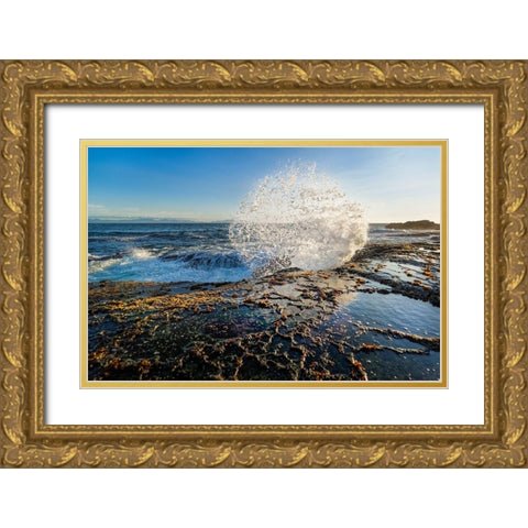 Splash II Gold Ornate Wood Framed Art Print with Double Matting by Kostka, Vladimir