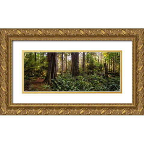 Woods II Gold Ornate Wood Framed Art Print with Double Matting by Kostka, Vladimir