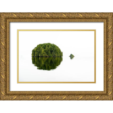 Green Island Gold Ornate Wood Framed Art Print with Double Matting by Kostka, Vladimir