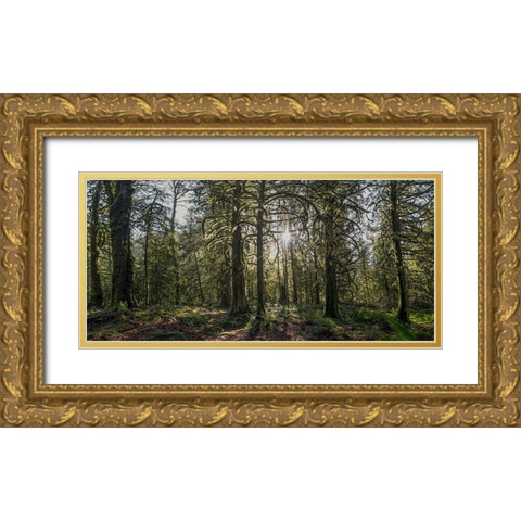 Woods IV Gold Ornate Wood Framed Art Print with Double Matting by Kostka, Vladimir