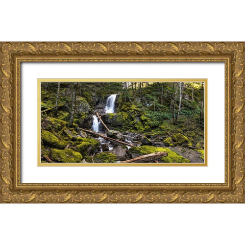 Stones And Waterfall Gold Ornate Wood Framed Art Print with Double Matting by Kostka, Vladimir