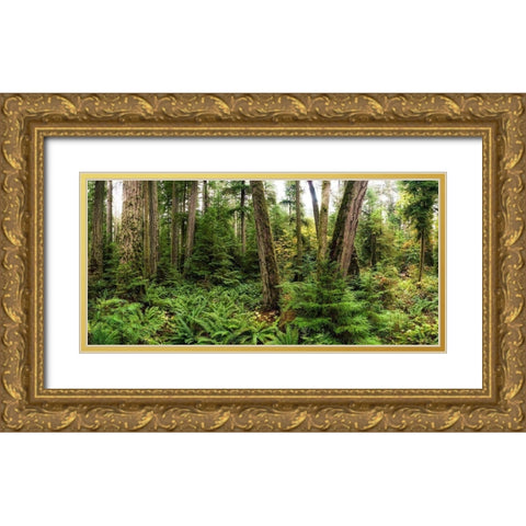 Woods V Gold Ornate Wood Framed Art Print with Double Matting by Kostka, Vladimir