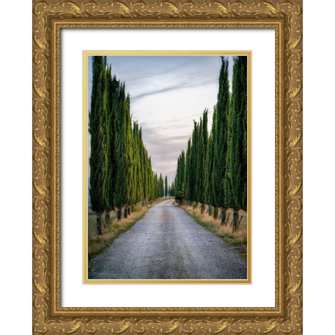Cypresses Gold Ornate Wood Framed Art Print with Double Matting by Kostka, Vladimir