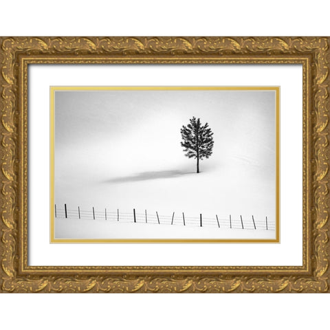 Tree And Fence Bw Gold Ornate Wood Framed Art Print with Double Matting by Kostka, Vladimir