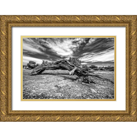 Bw Wood Gold Ornate Wood Framed Art Print with Double Matting by Kostka, Vladimir