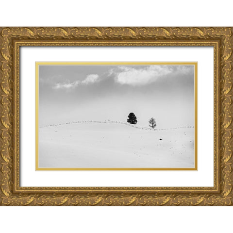 Lonely Trees Gold Ornate Wood Framed Art Print with Double Matting by Kostka, Vladimir