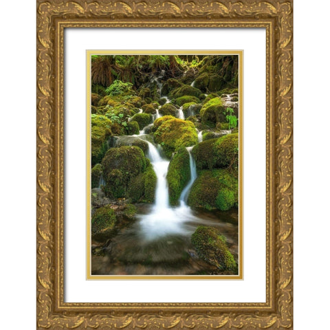 Waterfall I Gold Ornate Wood Framed Art Print with Double Matting by Kostka, Vladimir