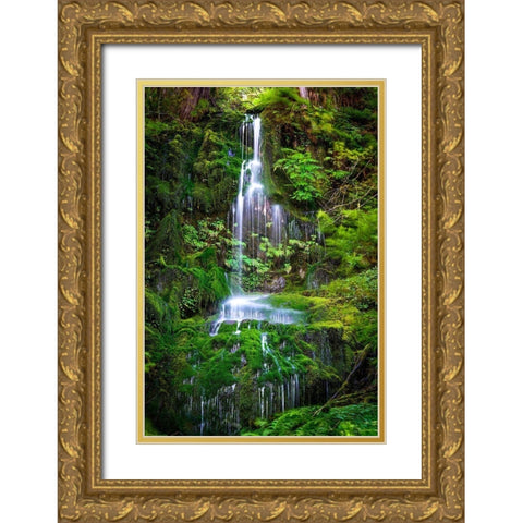 Waterfall II Gold Ornate Wood Framed Art Print with Double Matting by Kostka, Vladimir
