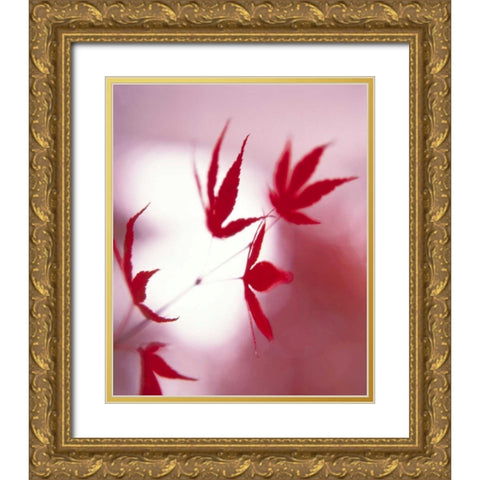 Arrangement Of The Leaves I Gold Ornate Wood Framed Art Print with Double Matting by Weissing, Gerd