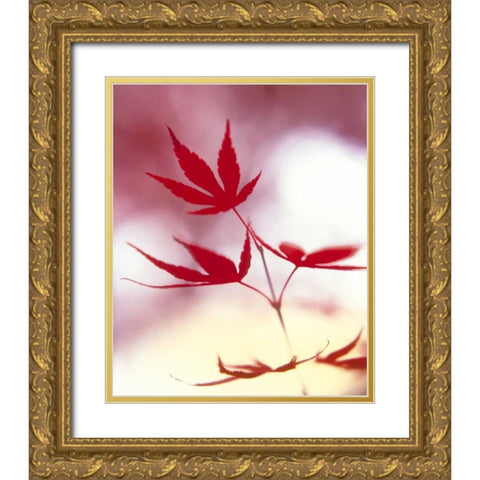 Arrangement Of The Leaves II Gold Ornate Wood Framed Art Print with Double Matting by Weissing, Gerd