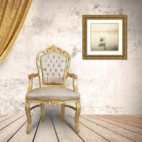TWO SWANS Gold Ornate Wood Framed Art Print with Double Matting by Weissing, Gerd
