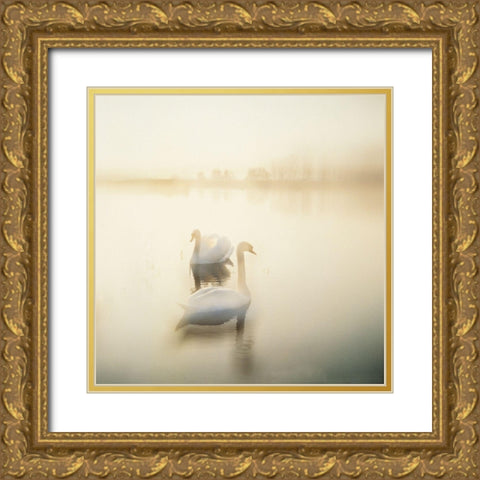 TWO SWANS Gold Ornate Wood Framed Art Print with Double Matting by Weissing, Gerd