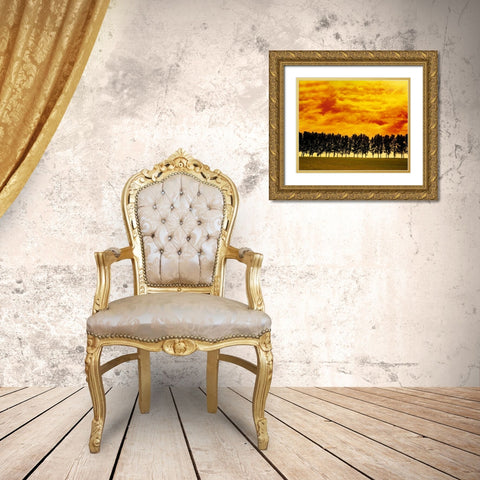Afterglow I Gold Ornate Wood Framed Art Print with Double Matting by Weissing, Gerd