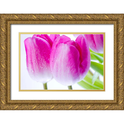 Pink II Gold Ornate Wood Framed Art Print with Double Matting by Warminski