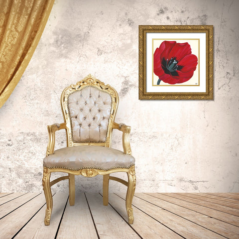 CRIMSON PASSION II Gold Ornate Wood Framed Art Print with Double Matting by Lake, Kaye
