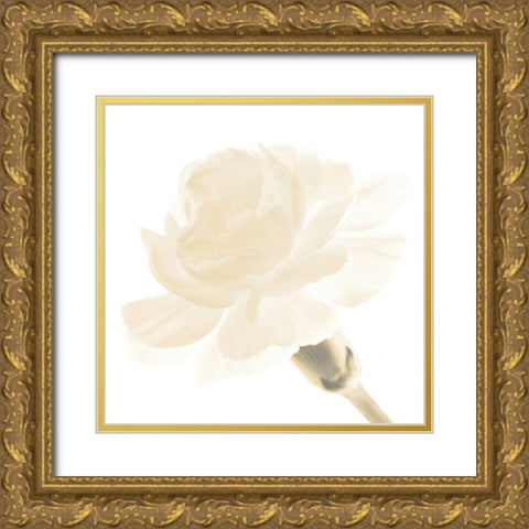 CARNATION I Gold Ornate Wood Framed Art Print with Double Matting by Fossey, George
