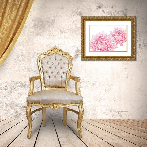CHRYSANTHEMUM IN BLOOM Gold Ornate Wood Framed Art Print with Double Matting by Fossey, George