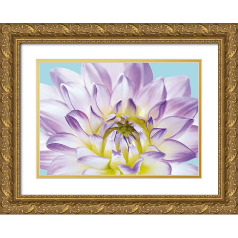 DAHLIA IN TEAL I Gold Ornate Wood Framed Art Print with Double Matting by Fossey, George
